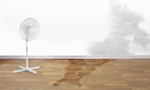 Best Carpet water damage restoration  in Brandermill, VA