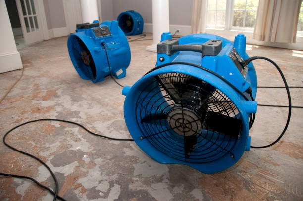 Best Flood restoration services  in Brandermill, VA