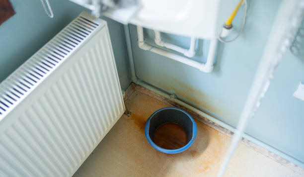 Best Water damage cleanup near me  in Brandermill, VA