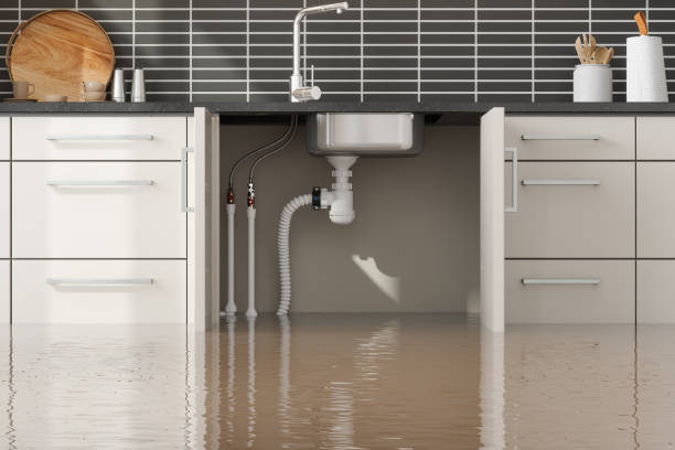 Best Sewage cleanup and water damage restoration  in Brandermill, VA