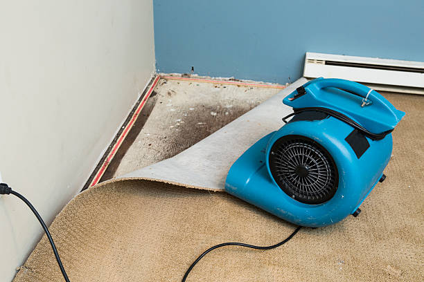 Carpet water damage restoration in VA